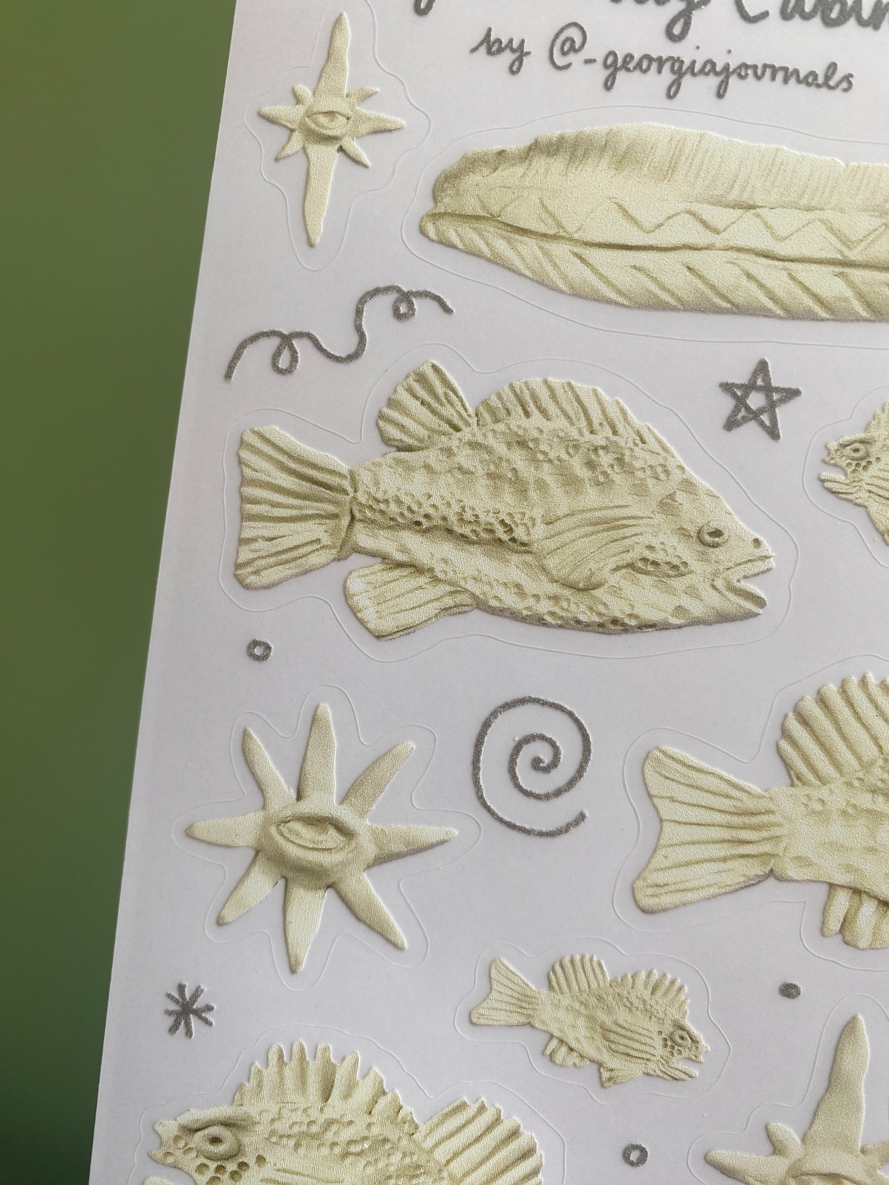 Clay Curiosity Cabinet Sheet