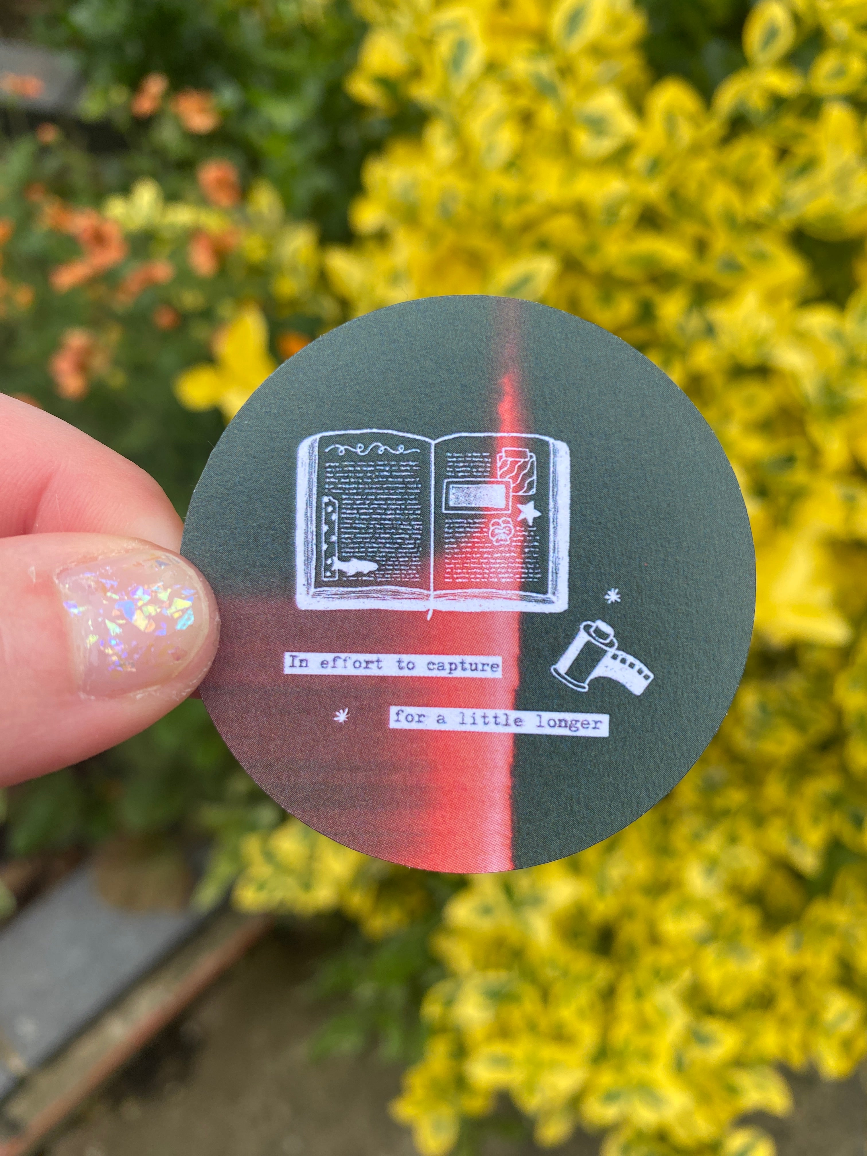 Capture Sticker