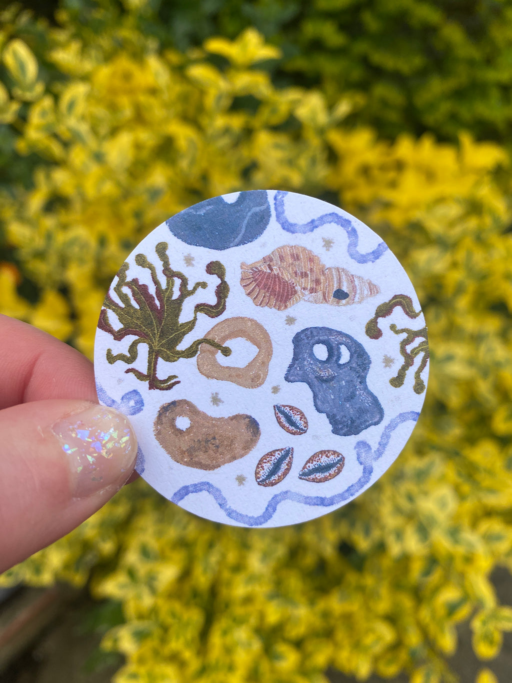 The Sea Sticker