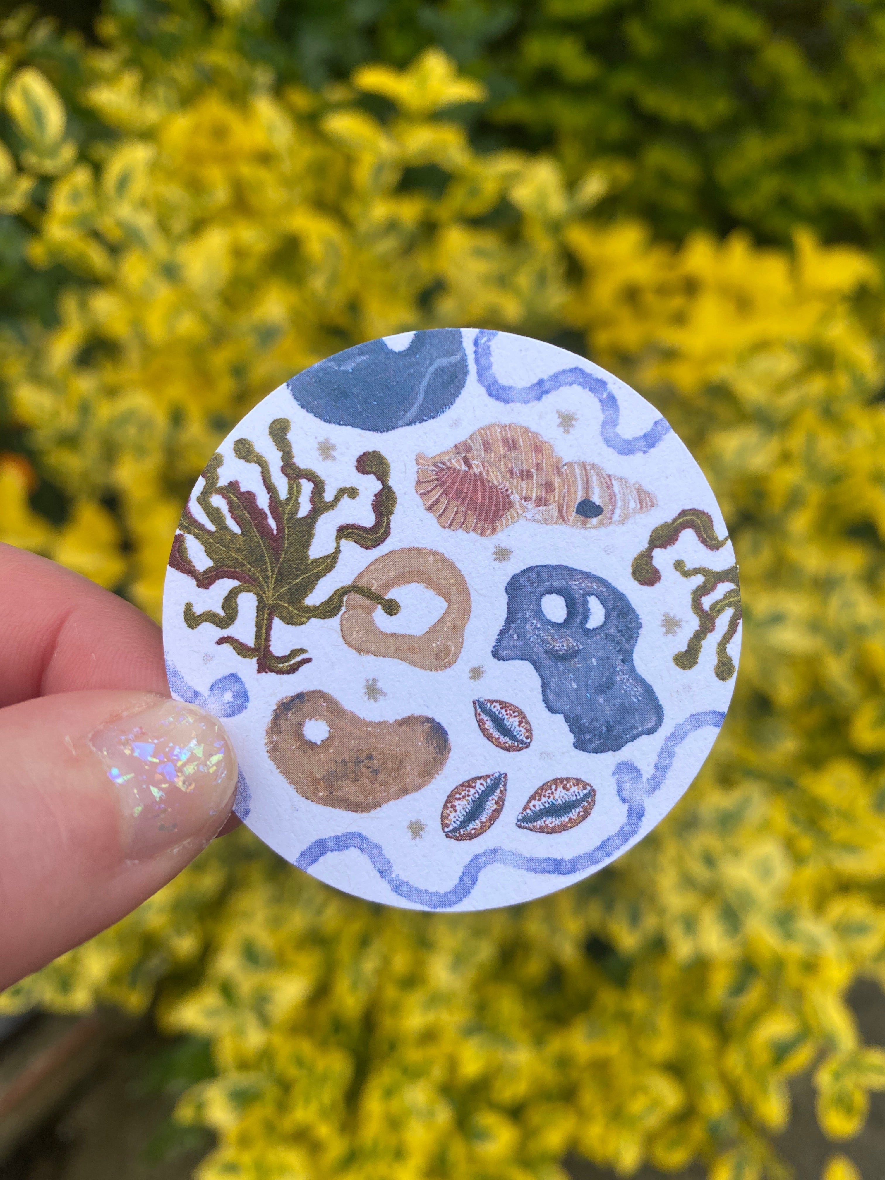 The Sea Sticker