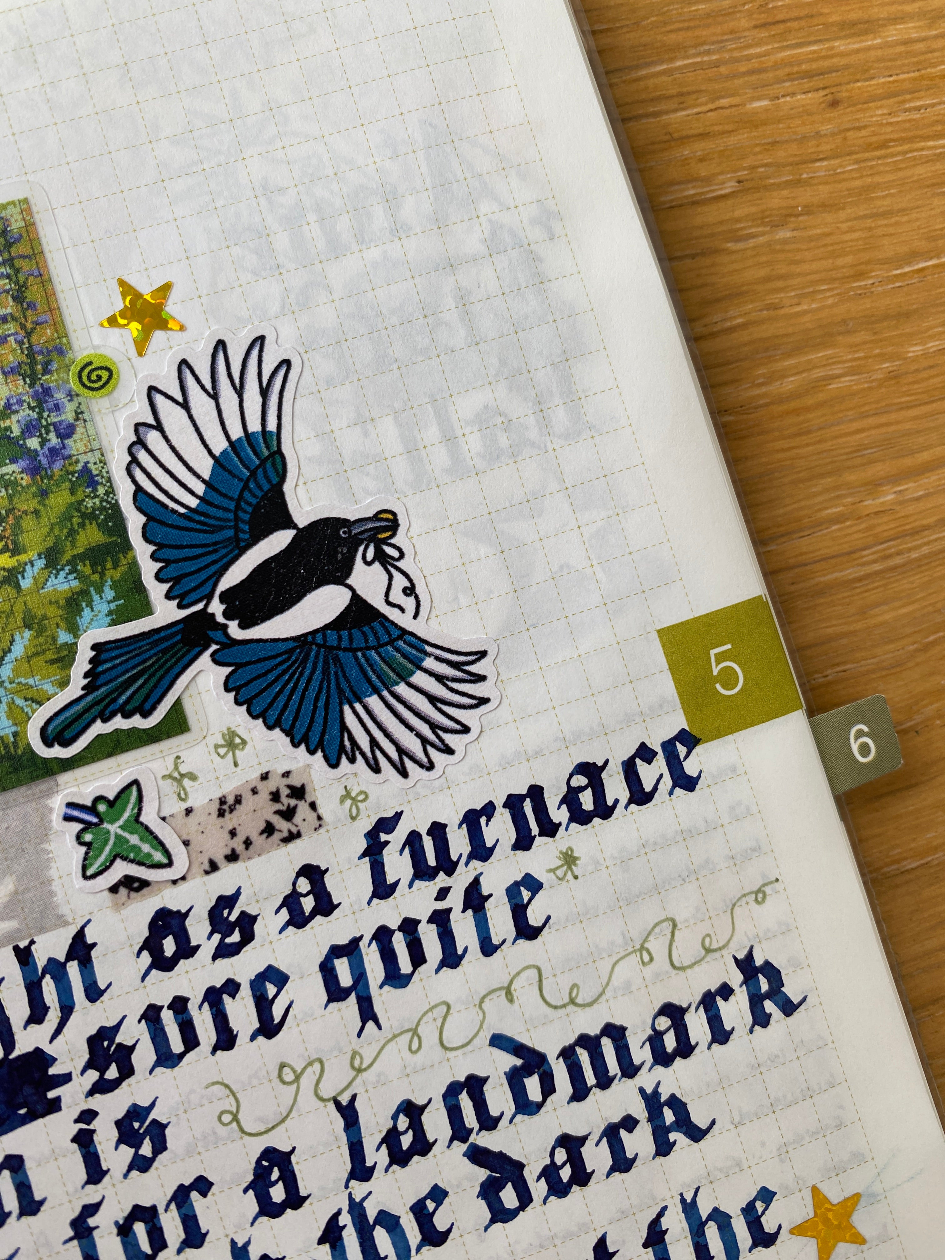 Illuminated Bird Oracle Sheet