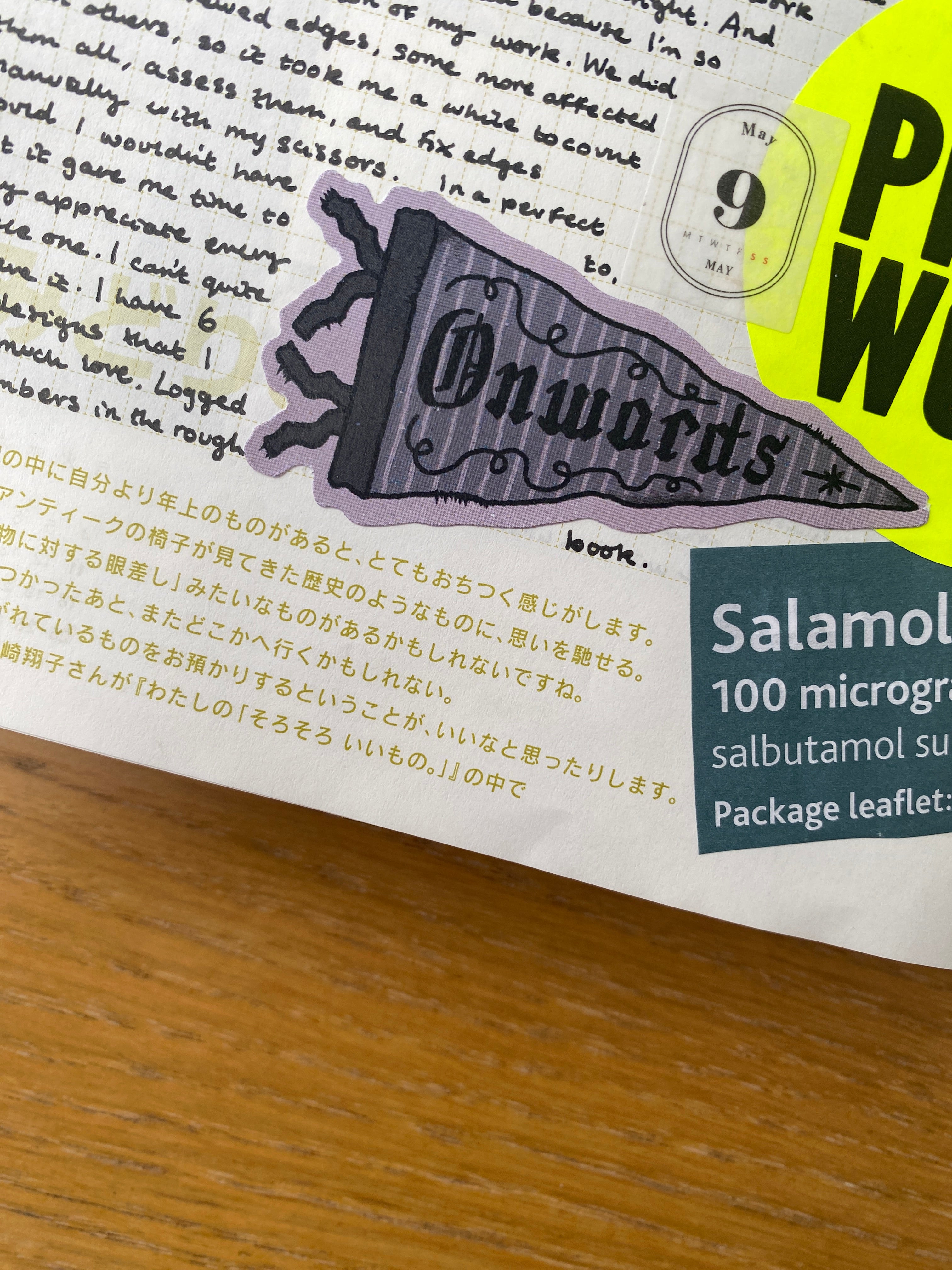 Onwards Pennant Sticker