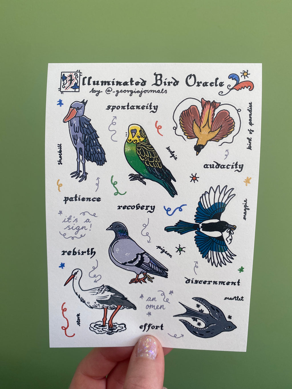 Illuminated Bird Oracle Sheet