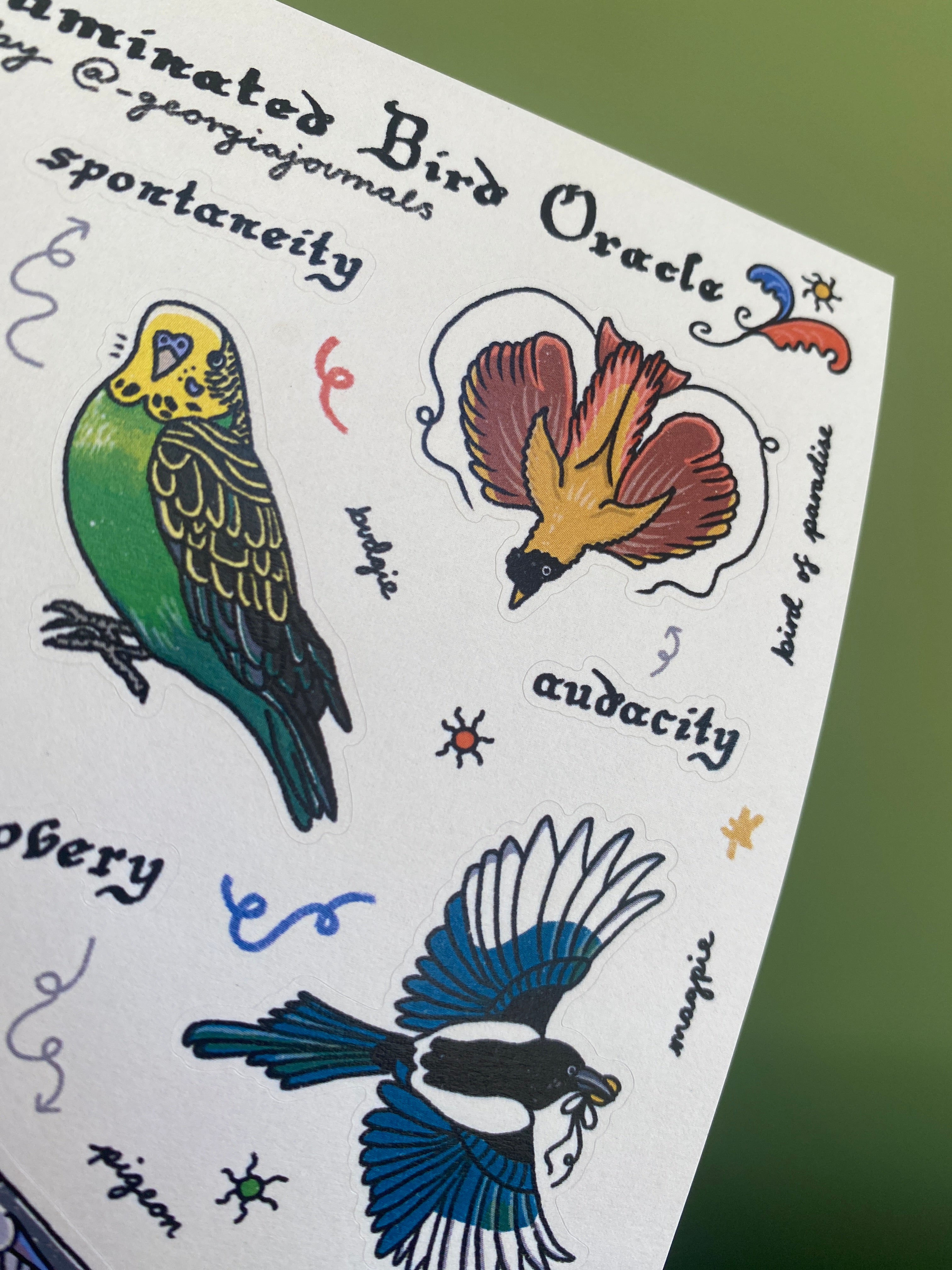 Illuminated Bird Oracle Sheet